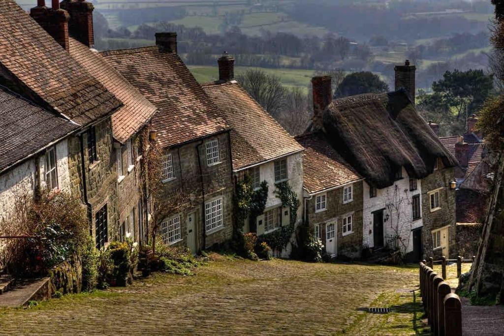 Winterborne Lodge بلاندفورد فوروم المظهر الخارجي الصورة