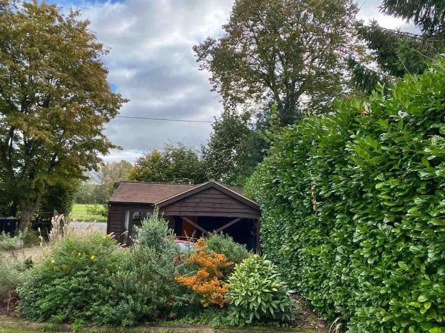 Winterborne Lodge بلاندفورد فوروم المظهر الخارجي الصورة